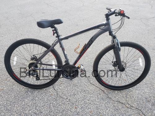 Schwinn DSB ficha técnica y opiniones